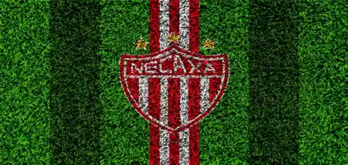 vectores plantilas FUTBOL,